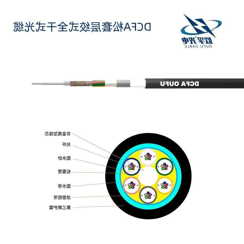 昌吉回族自治州DCFA光缆