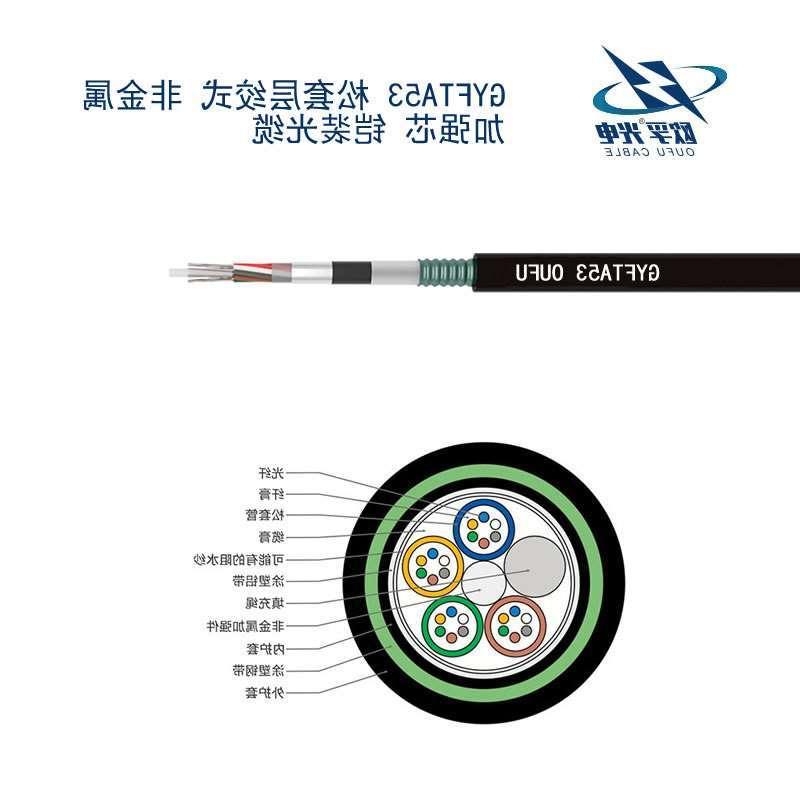 萍乡市GYFTA53光缆