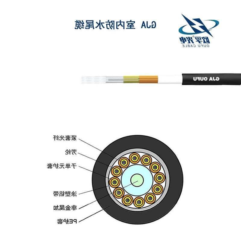 铜仁市GJA防水尾缆