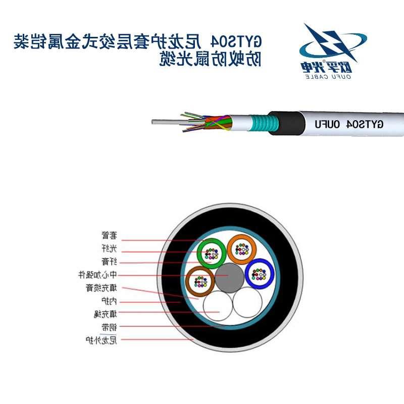 离岛区GYTS04光缆